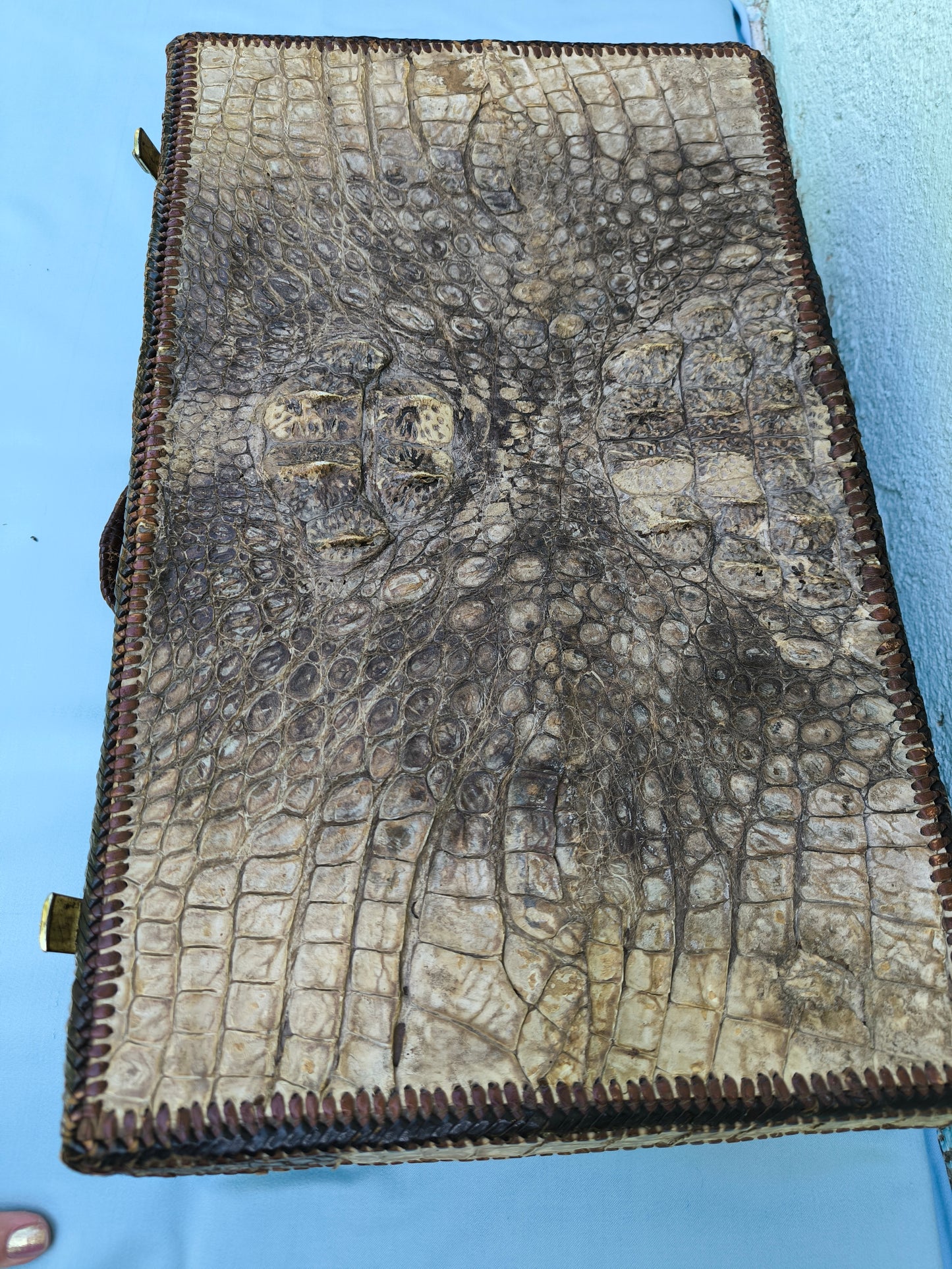 Antique Crocodile Suitcase, 1930s Art Deco Travel Case, Rare Colonial Decor